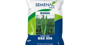 Okra- RADHA (BSS 596)