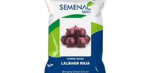 ONION - LALBAGH RAJA