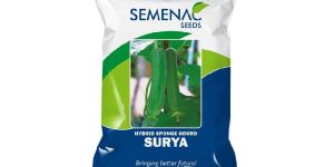 Sponge Gourd - Surya