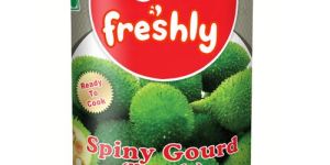 Spiny Gourd (Kantola)