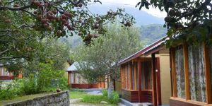 Apple Orchard Camping Adventure Tour