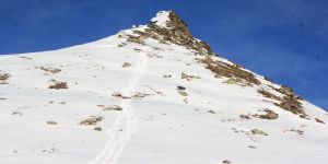 Kothi Peak Mountain Tour Packages