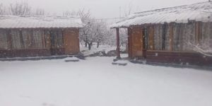 Manali Snow Trekking Tour Packages