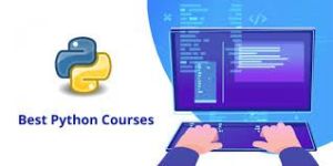 Python Software Programming Course