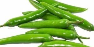 Fresh Green Chilli