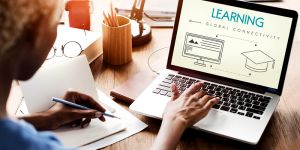 Online PHP MySQL Master Course