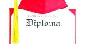 Online Web Premium Course