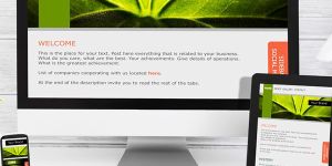 Graphic Designing Service