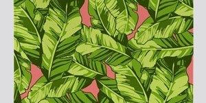 Plush Fleece Blankets