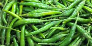 Fresh Green Chilli