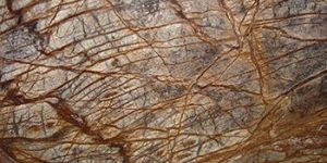 Forest Brown Marble Slab