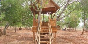 Bamboo Hut