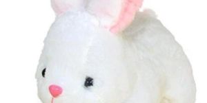 Rabbit with Carrot Soft Toy