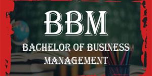 Bachelor of Business Management [BBM]