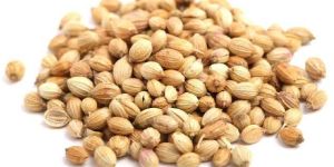 Coriander Seeds
