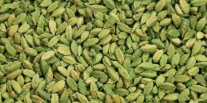 Green Cardamom