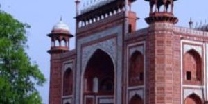 International Tour Packages