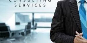 Consulting Service