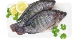 Tilapia Fish