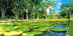 Mauritius Tour Packages