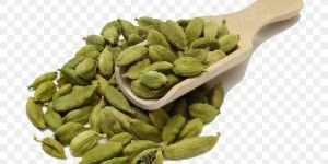 Green Cardamom
