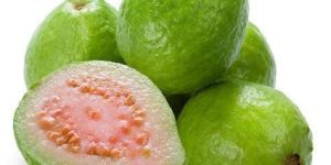 Fresh Guava