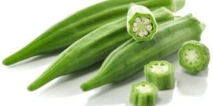 Fresh Okra