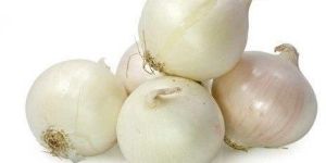 Fresh White Onion