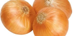 Fresh Yellow Onion
