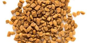 Fenugreek Seeds