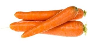 Fresh Carrot