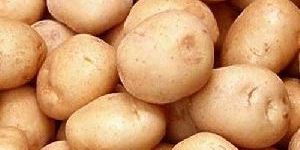 Fresh Organic Potato