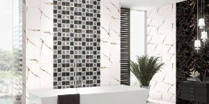 Kajaria Wall Tiles