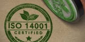 Iso 14001 Consultant