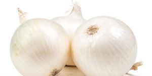 White Onion