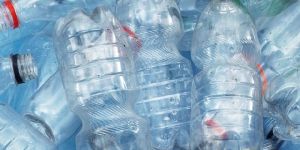 Plastic Bottles