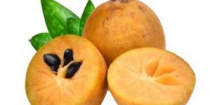 Fresh Sapota