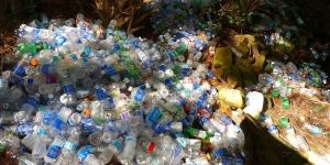 Muncipal Solid Waste