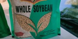 Whole Sorted Soya Bean Seed