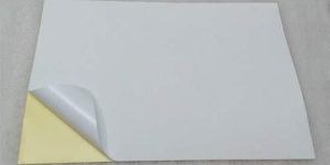 Self Adhesive Paper