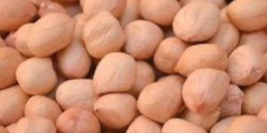 Peanut