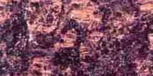 Tan-Brown Granite Slabs