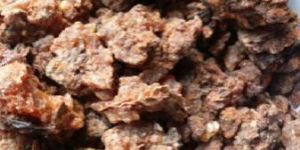 Myrrh Herb