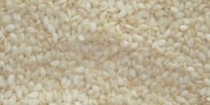 Sesame Seeds