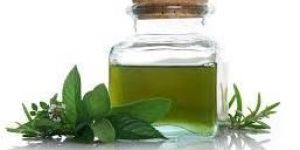 Mint Oil