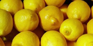 Fresh Lemon