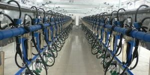 Milking Parlor System