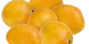 Fresh Badami Mango