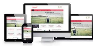 Responsive Websites