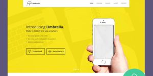 Landing Page Services
